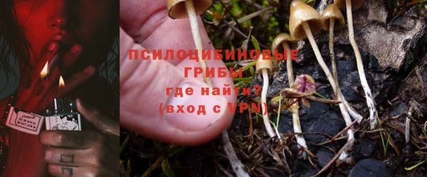 прущие крисы Бронницы