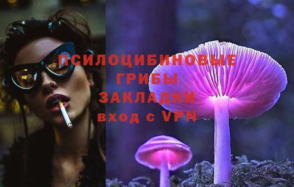 герыч Бородино